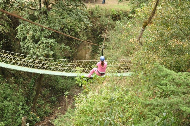  zip line e ponti sospesi 